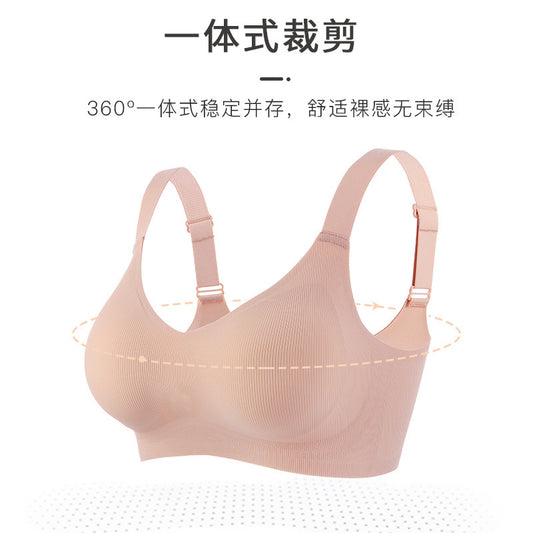 2c75c627-9a8e-456a-bb9c-e177e455db9a