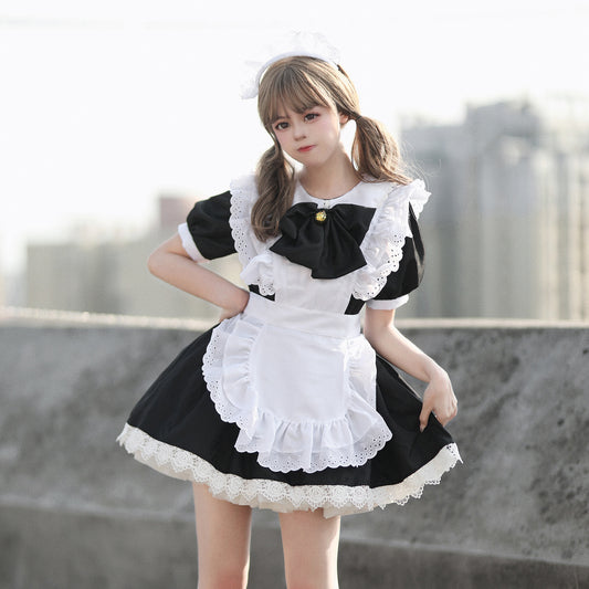 8560f74b-5085-467b-af3d-8d8347cf47df